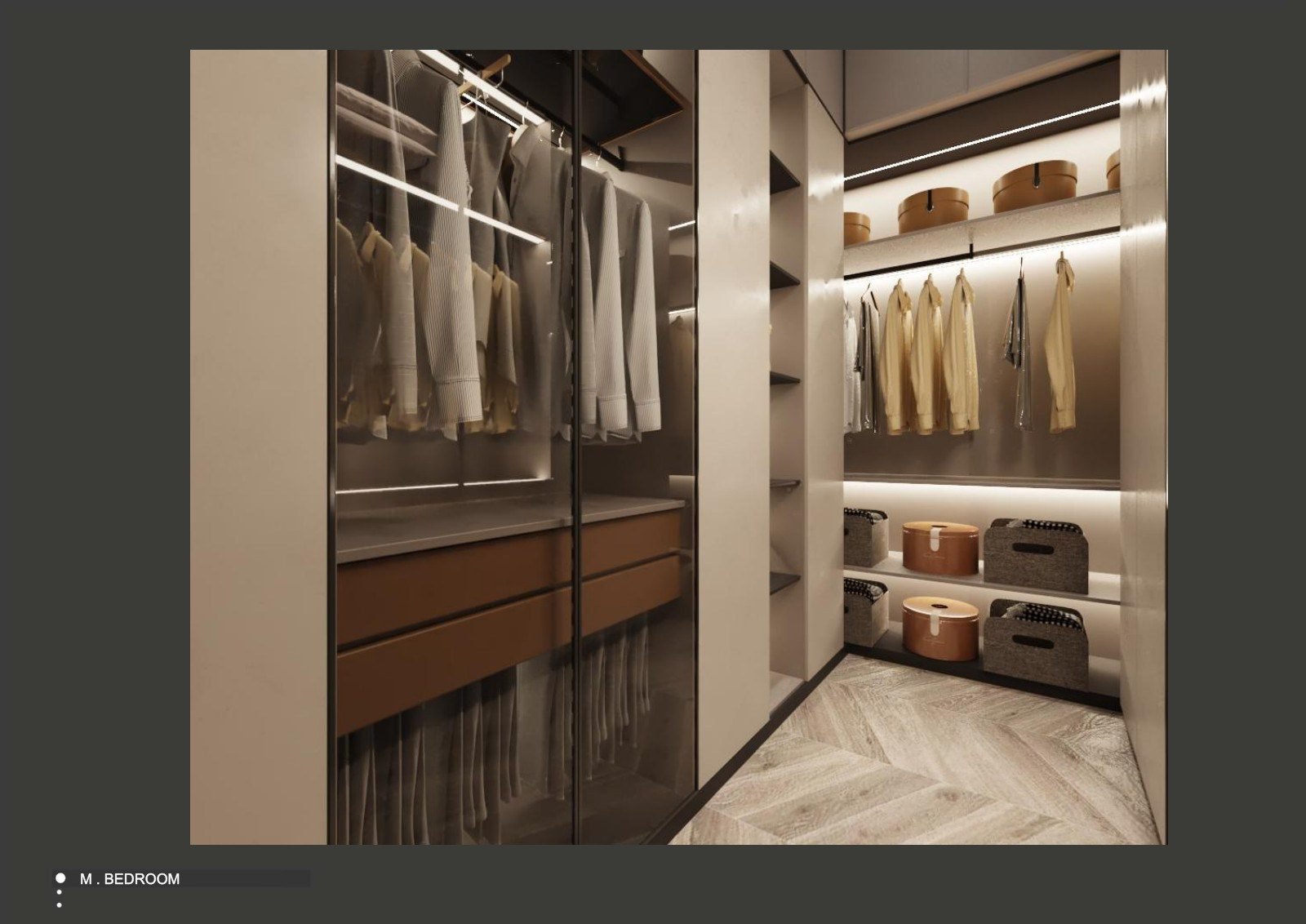 Master walk-in closet with hanging rails, lit shelving and storage boxes