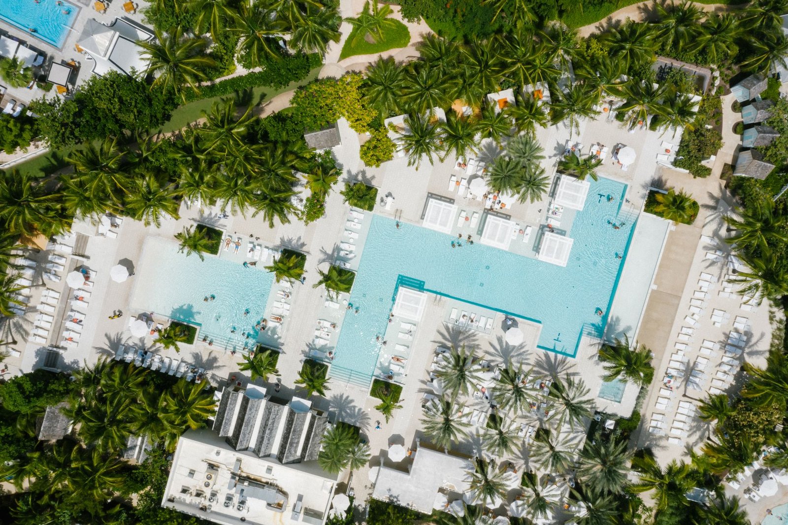 aerial view of a resort-style pool deck with palm trees and loungers