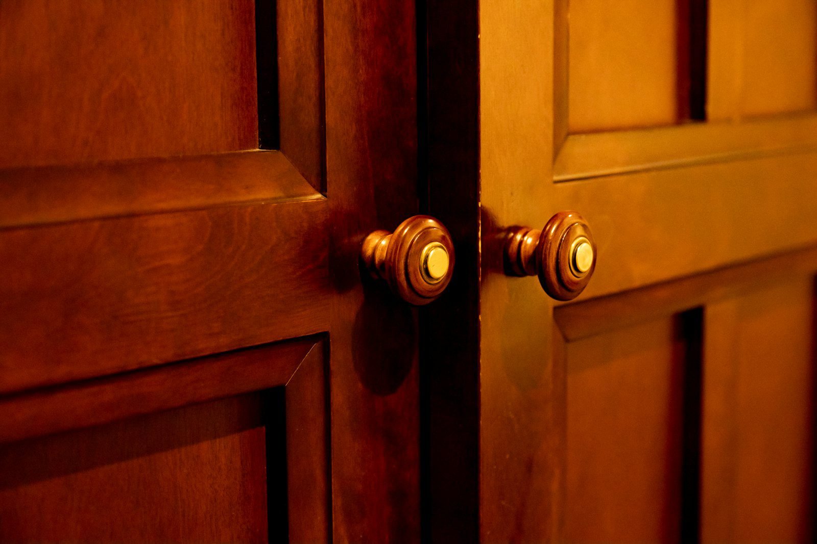 Deep stained wood veneer cabinet door with brass handles in warm light - premium cabinet door finishing