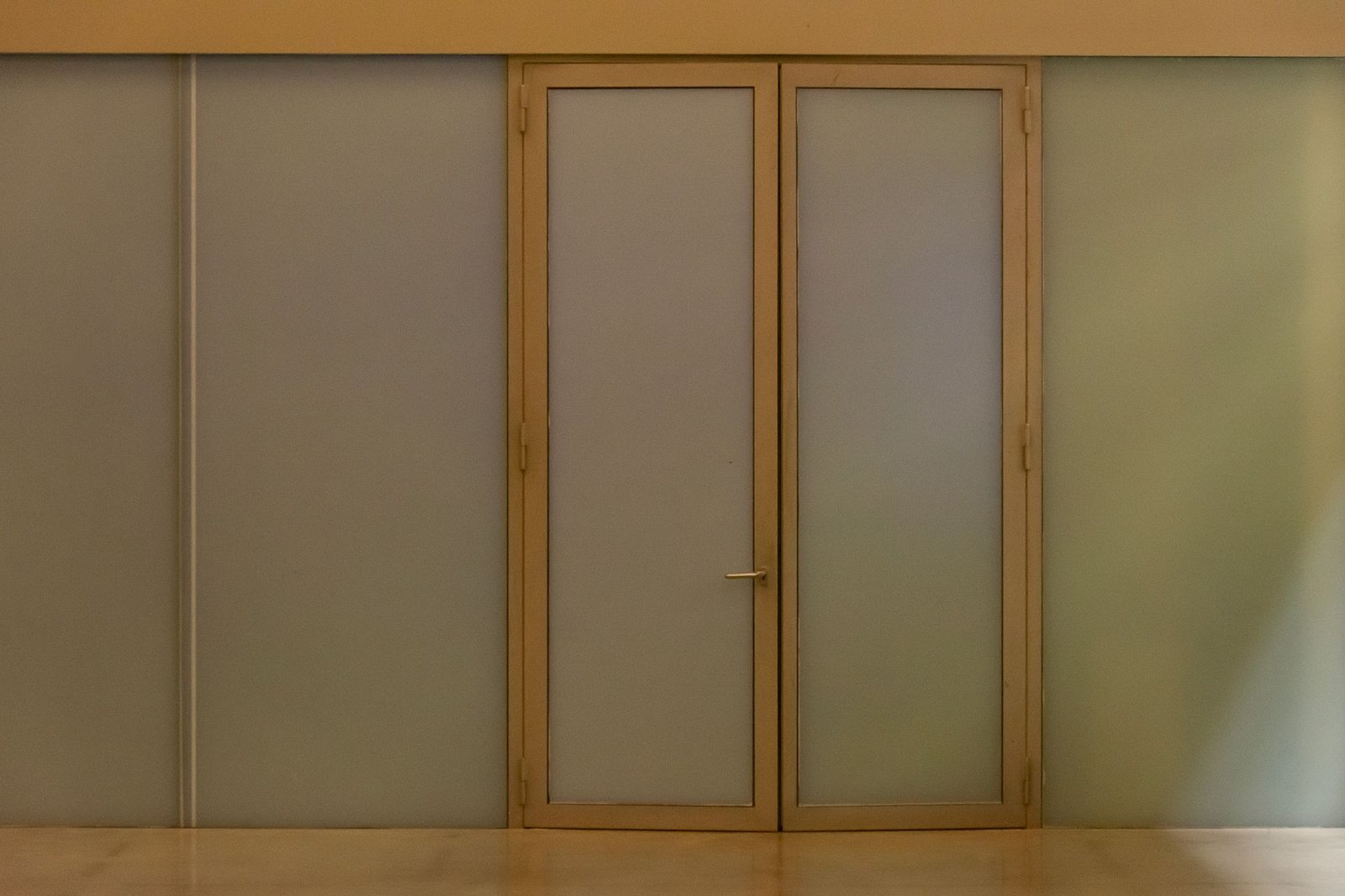 Pivot & Statement Doors