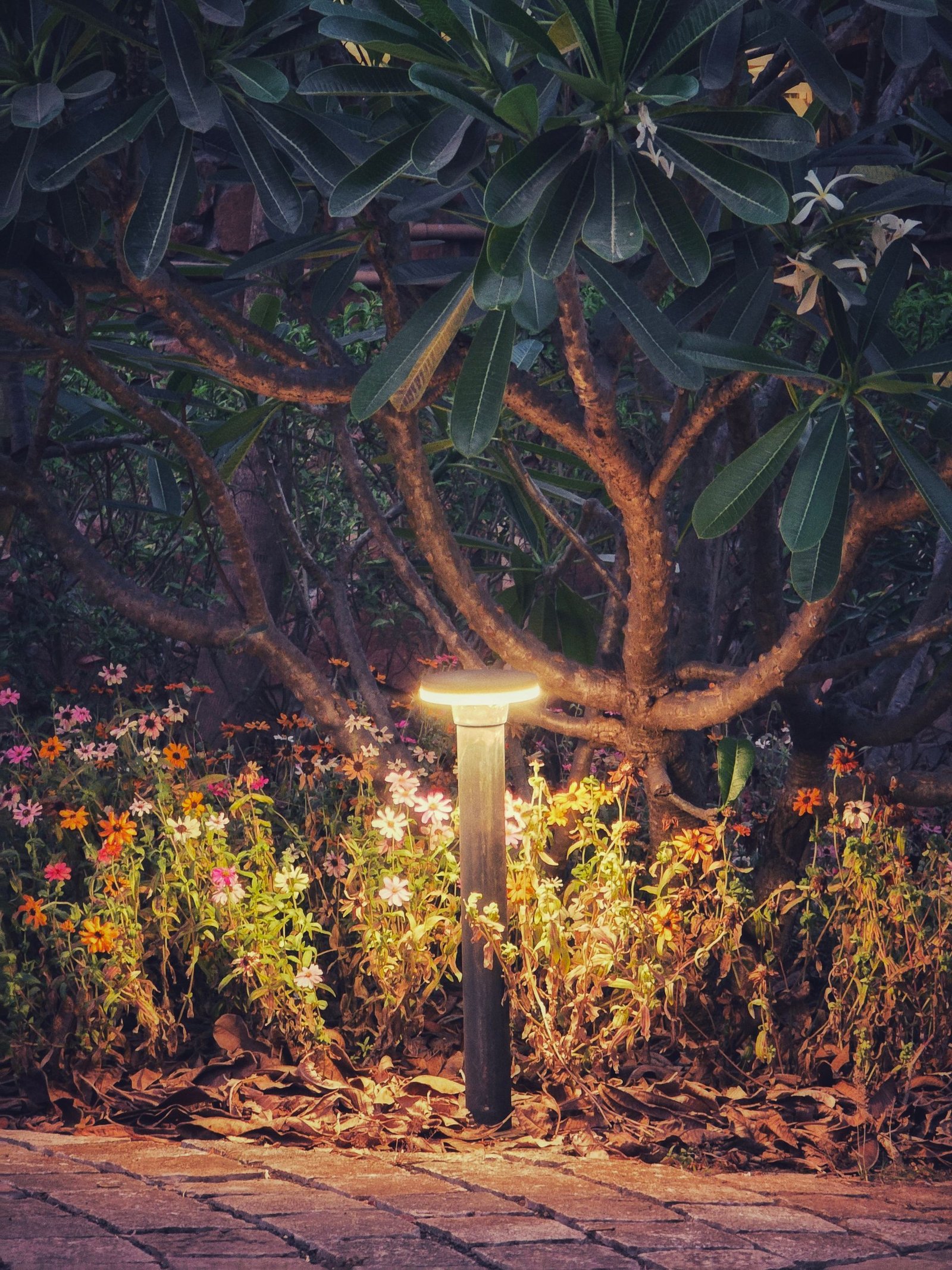 Garden path with warm uplighting through the flower beds