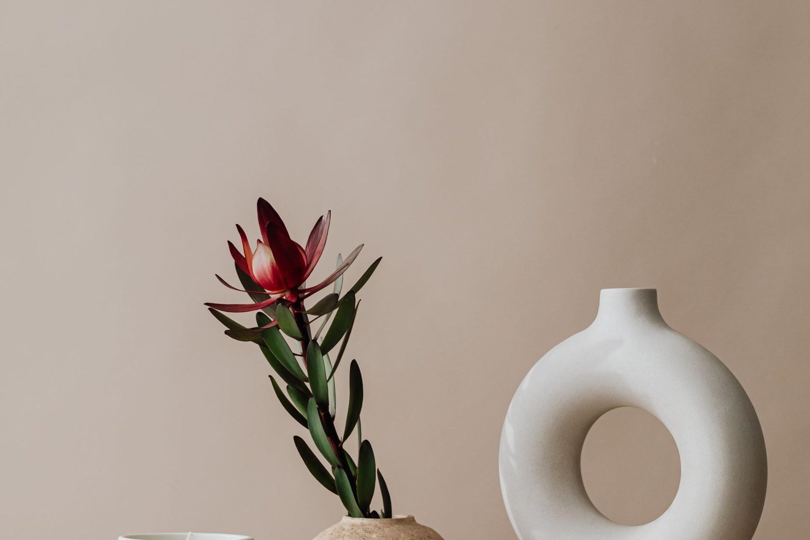 Sculptural white vases with protea on a console